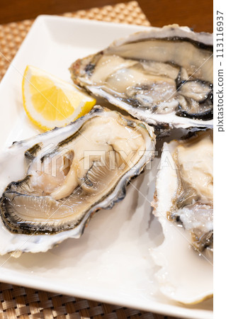 Delicious raw oysters from Akkeshi, Hokkaido Delicious raw oysters from Akkeshi, Hokkaido 113116937