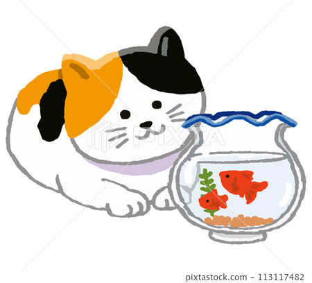 cat and goldfish in a fishbowl cat and goldfish in a fishbowl 113117482