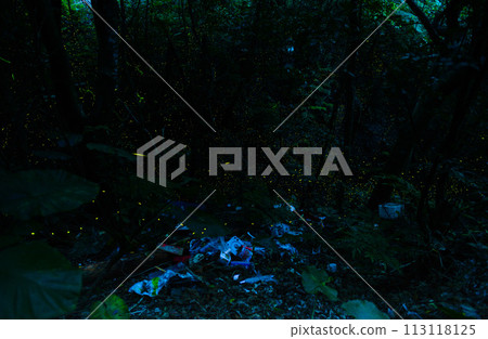 Fireflies in Yanbaru, Okinawa, flying through the trash 113118125