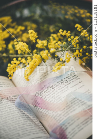 Books and mimosas Books and mimosas 113119181