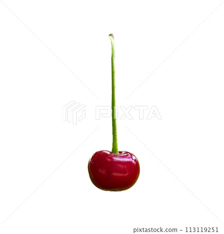 The image shows a single, ripe cherry with a long green stem isolated against a white background. 113119251