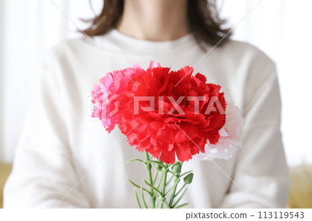 母親節送康乃馨的女性形象 113119543