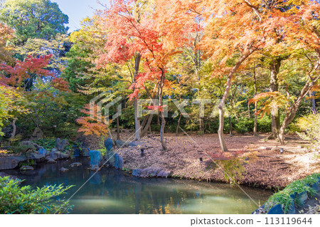 (Tokyo) Rikugien autumn leaves 113119644