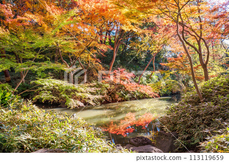 (東京都)Rikugien秋葉 (東京都)Rikugien秋葉 113119659