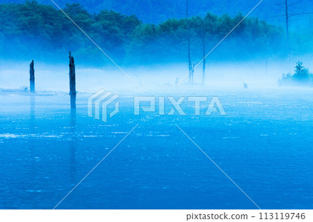 Morning mist on the waterfront 113119746