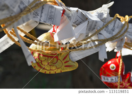 下田八幡神社(靜岡縣下田市) 下田八幡神社(靜岡縣下田市) 113119851