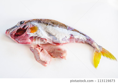 準備好的魚吉馬 準備好的魚吉馬 113119873