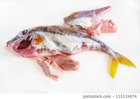 Prepared fish: Gima 113119874