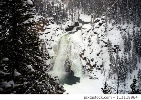 Lower Yellowstone Falls in Winter Lower Yellowstone Falls in Winter 113119964