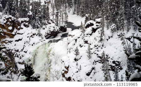 Lower Yellowstone Falls in Winter Lower Yellowstone Falls in Winter 113119965