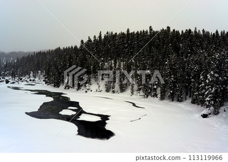 Yellowstone Winter Snow Madison River Yellowstone Winter Snow Madison River 113119966