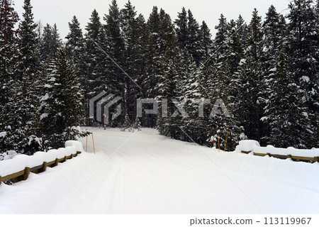 Yellowstone Winter Snow Typical December Road 113119967