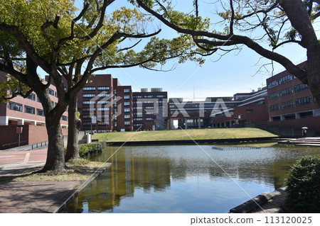 筑波大學 113120025