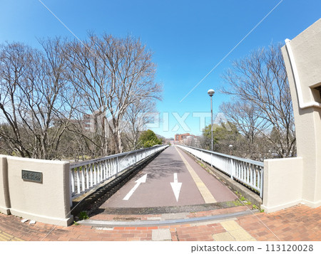 University of Tsukuba 113120028