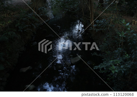 Inokashira Park Kandagawa Genryu Inokashira Park Kandagawa Genryu 113120068