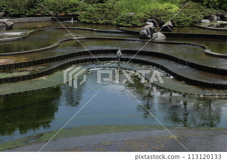 Shinagawa Kenmin Park 113120133