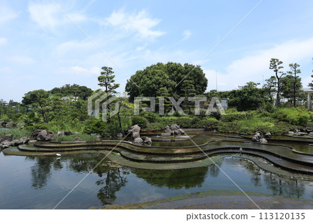 品川肯明公園 113120135