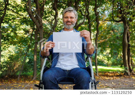 Accessible Park Accessible Park 113120250