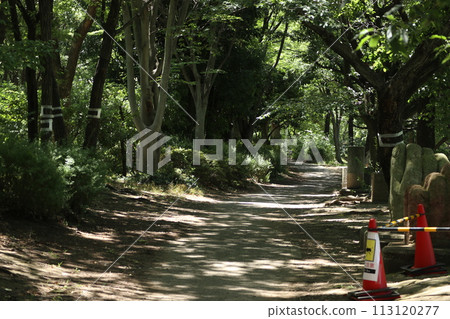 大田區平和森公園 113120277
