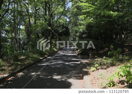 Ota Ward Heiwanomori Park 113120795