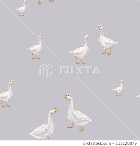 Watercolor seamless pattern with goose farm bird. Tender watercolor illustration on a isolated on background. Domestic white and gray watercolor cute farm bird. Hand drawn illustration farm birds. Watercolor seamless pattern with goose farm bird. Tender watercolor illustration on a isolated on background. Domestic white and gray watercolor cute farm bird. Hand drawn illustration farm birds. 113120879