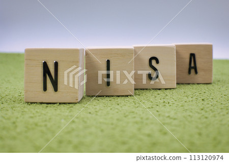 NISA letter block placed on a green carpet 113120974