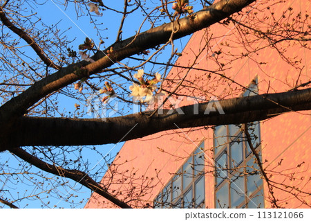 I walked around the Okura athletic field. 113121066