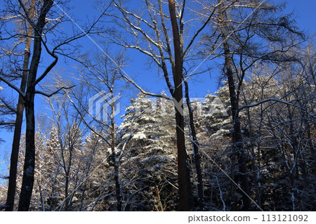 Snow camp Snow camp 113121092