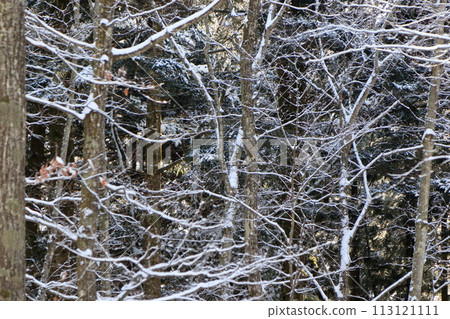 雪營 113121111