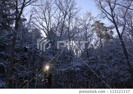 Snow camp Snow camp 113121137