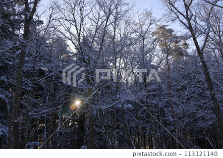 雪營 113121140