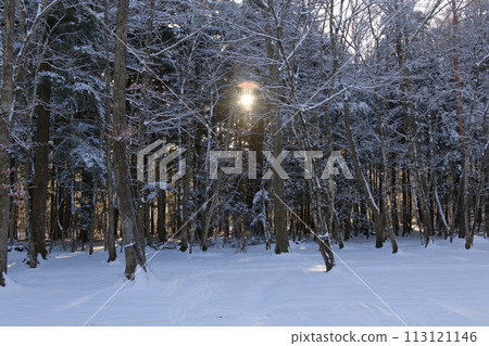 雪營 雪營 113121146