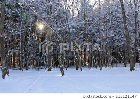 Snow camp Snow camp 113121147