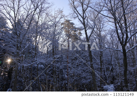 雪營 雪營 113121149