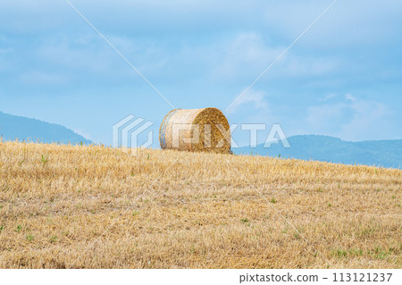 Summer in Hokkaido: northern land and barley rolls (Hokkaido image) Summer in Hokkaido: northern land and barley rolls (Hokkaido image) 113121237