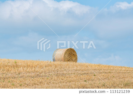 Summer in Hokkaido: northern land and barley rolls (Hokkaido image) 113121239