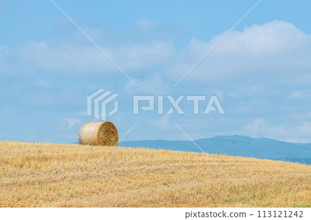 Summer in Hokkaido: northern land and barley rolls (Hokkaido image) Summer in Hokkaido: northern land and barley rolls (Hokkaido image) 113121242