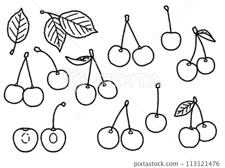 Cherry Illustration Cherry Illustration 113121476