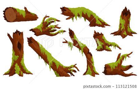 Logs, stumps in moss. Cartoon tree lichen in swamp jungle. Broken oak in tropical damp forest. Set isolated vector design element on white background Logs, stumps in moss. Cartoon tree lichen in swamp jungle. Broken oak in tropical damp forest. Set isolated vector design element on white background 113121508