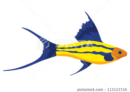 Aquarium fish. Beautiful underwater character. Decorative colored freshwater fish in flat cartoon design. Vector illustration, isolated animal on white 113121516
