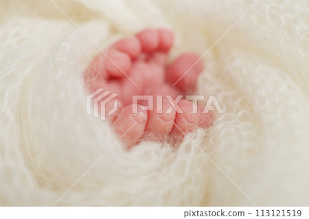 The tiny foot of a newborn baby. Soft feet of a new born in a wool white blanket. Close up of toes, heels and feet of a newborn. Macro photography. 113121519