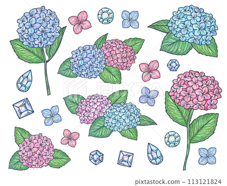 帶有水彩風線的繡球花和珠寶插圖集 帶有水彩風線的繡球花和珠寶插圖集 113121824