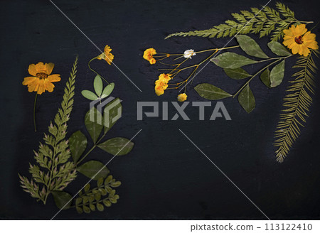 slate with space text slate with space text 113122410