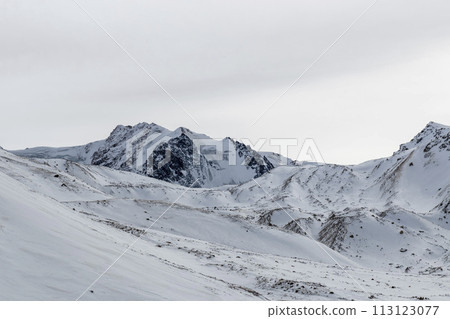 Winter mountain landscape. Peaks, rocks and glaciers. Kazakhstan nature. 113123077