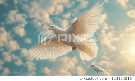 White Dove in Flight 113124216