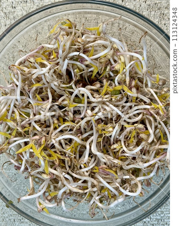 Micro-greenery. Sprouted mung beans, green mung beans in a glass bowl on the table. Juicy seedlings. Healthy food for vegans. Close-up. Micro-greenery. Sprouted mung beans, green mung beans in a glass bowl on the table. Juicy seedlings. Healthy food for vegans. Close-up. 113124348