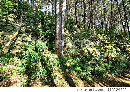 近江「安土城」東門久和尚元院弘法大師堂 113124521