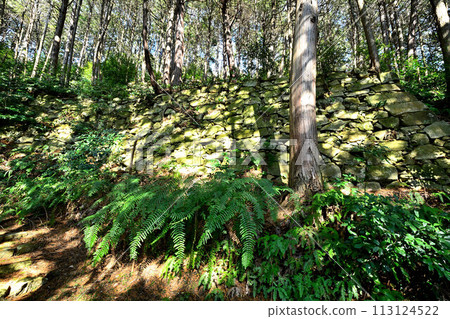 近江「安土城」東門久和尚元院弘法大師堂 113124522