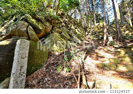 Omi "Azuchi Castle" East Gate Kuruwa Shogen-in Kobo Daishido Omi "Azuchi Castle" East Gate Kuruwa Shogen-in Kobo Daishido 113124537