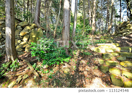 Omi "Azuchi Castle" East Gate Kuruwa Shogen-in Kobo Daishido Omi "Azuchi Castle" East Gate Kuruwa Shogen-in Kobo Daishido 113124546